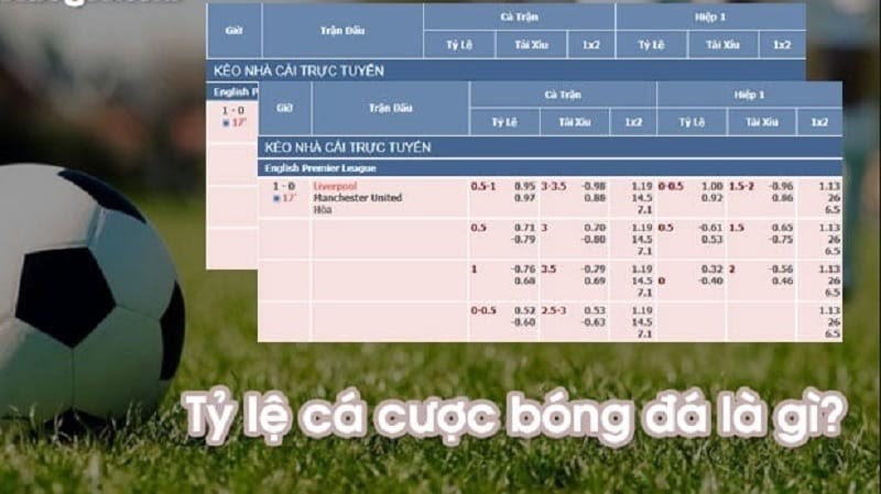 Tỷ lệ k&egrave;o b&oacute;ng đ&aacute; l&agrave; g&igrave;? Hướng dẫn c&aacute;ch xem chuẩn v&agrave; ch&iacute;nh x&aacute;c nhất